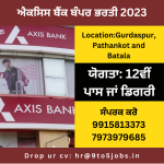 axis bank jobs in punjab
