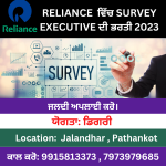 survey executive jobs in relience